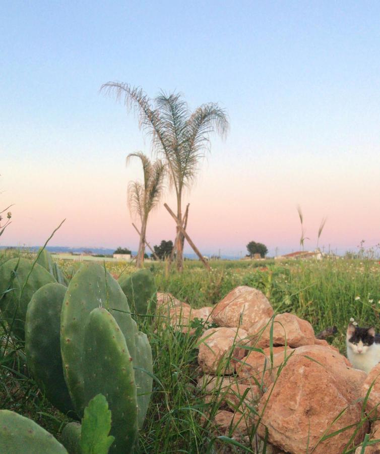 Villa Sara Di Puglia Castellaneta Dış mekan fotoğraf